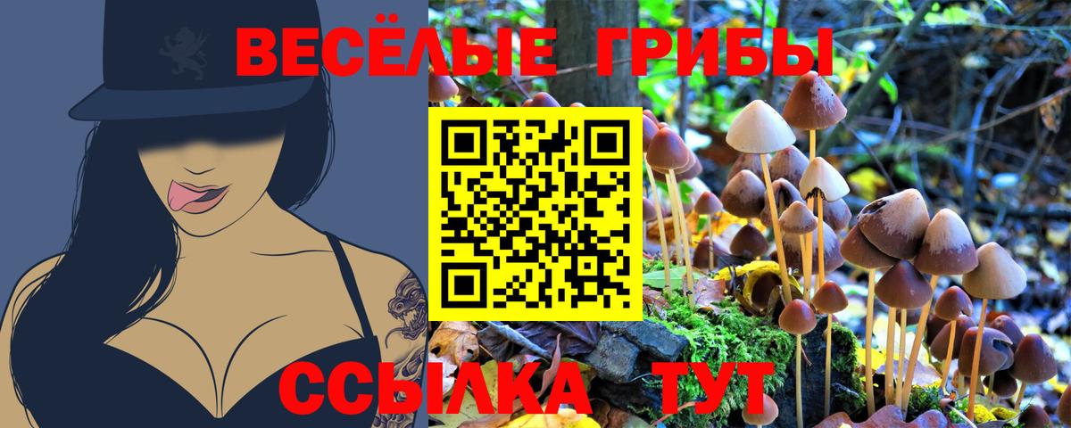 Галлюциногенные грибы Cubensis  Вход с VPN  Ачинск 